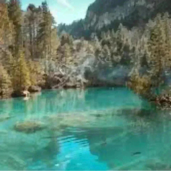 Free 💟Jacob Crop Plaid Pants - Picture 9 of 15